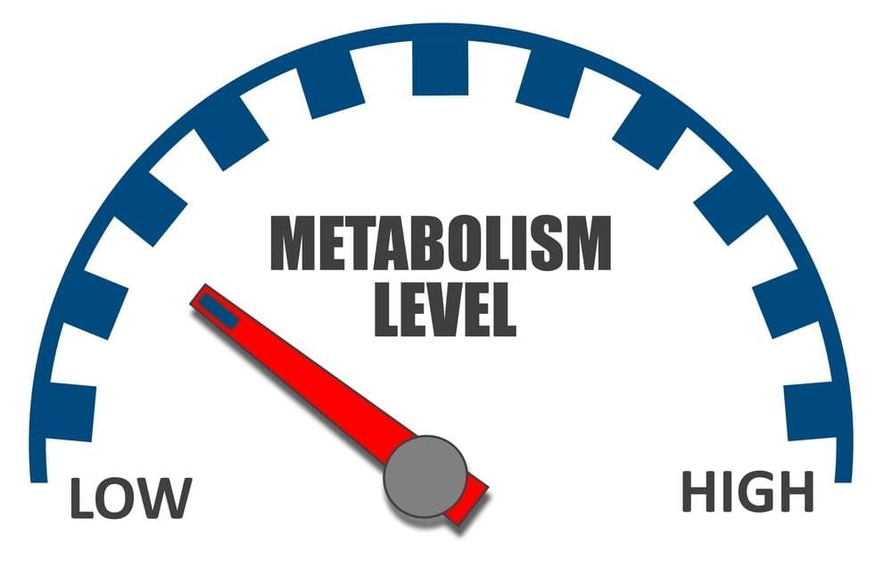 What is a “broken metabolism“?