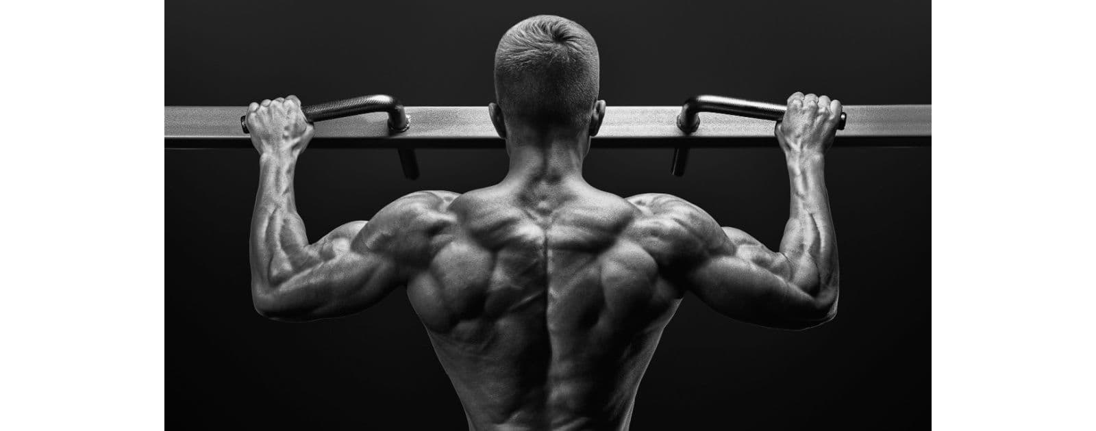 Grip Strength: Why Your Hands Say More About Your Health Than You Think